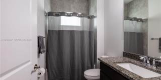 13939 Prickly Cone Cv Gallery 24