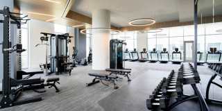 Skymark Reston Town Center Gallery 31