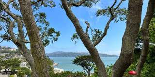 Stunning Sausalito Retreat with Bay Views & Private Meadow Gallery 12