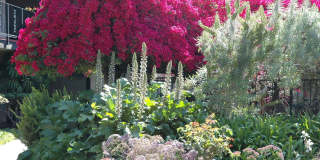 Rancho Monterey Gallery 35