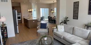 Stunning LIKE NEW 4 Bedroom in Wolf Ranch Gallery 10