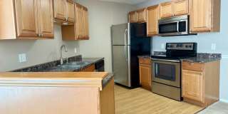 Belleair Village Condo 1/1 Open floor plan Gallery 4