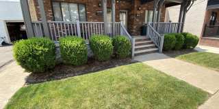 442 Larch Street Gallery 1