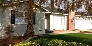 210 Irene Street - NE - Nicely Remodeled - 3+1.5 - $1850 Rent $1850 Deposit Gallery 3