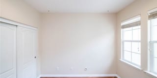 41 Bamboo Gallery 23
