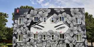 291 S Pearl Gallery 7