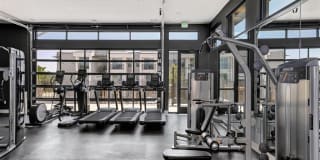 The Saint Mary The Saint Mary Gallery 31