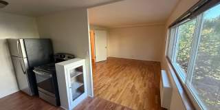 Park Manor Gallery 28