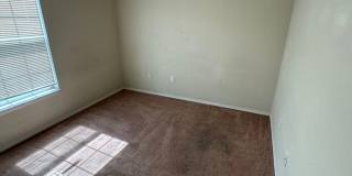 First 2 weeks free offer Gallery 24