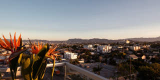 Belle on Bev Belle on Bev Gallery 78