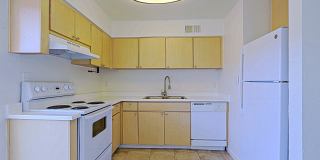 The Vintage Gallery 1