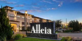 Alleia Presidio Gallery 30