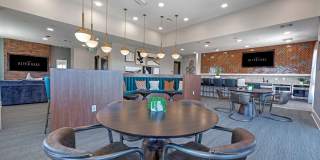 Alta River Oaks Gallery 42