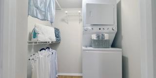 Carrington Lane Gallery 37