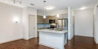 RIZE at Winter Springs Gallery 140