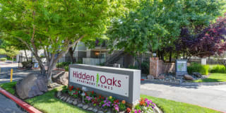 Hidden Oaks Gallery 36