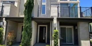 7829 Stylus Gallery 1