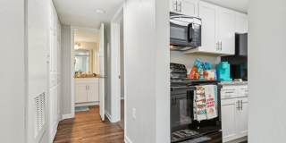 Glen at Highpoint Gallery 26