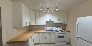 114 Carolina St #B Gallery 7