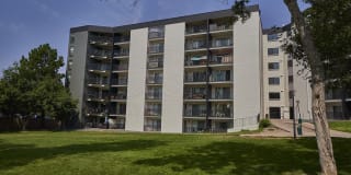 Elm at Panorama Gallery 21