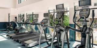 The Copeland The Copeland Gallery 25