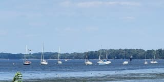 Willow Shores Gallery 28