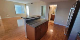 Luxury, Spacious 1 bedroom Apartment in Boulder at the Famous Peloton Gallery 14