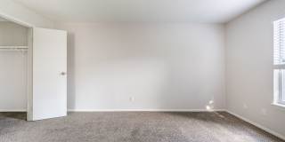 Corinth Paddock Gallery 18