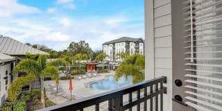Azola South Tampa - Apartment & Townhome Gallery 22