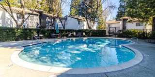 Mission Pines Gallery 16