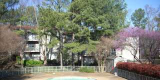 Poplar Pines Gallery 16