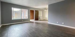 Buena Casa Gallery 34