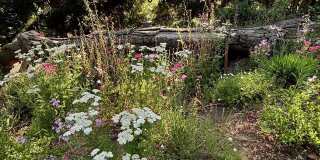 1149 Old Topanga Canyon Rd Gallery 44