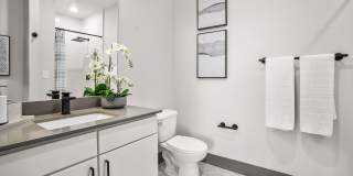 555 Boulevard Gallery 22