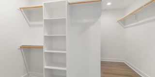 Cortland M-Line Gallery 47