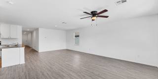 332 Elephants Ear Gallery 5