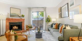 Sofi Belmar Gallery 5