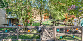 Village at Seeley Lake Gallery 21