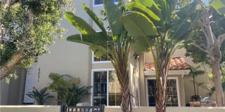 6031 Shadowbrook Circle Gallery 1