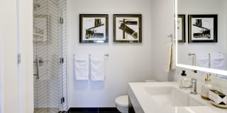 The Banks Gallery 12