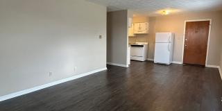 Brendan Wood Gallery 15