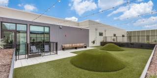 Pearl Springdale Gallery 35