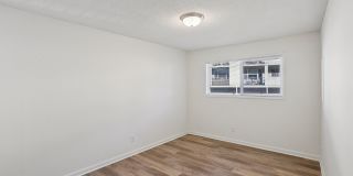 Colony Park Gallery 11