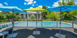 The Harrison Gallery 18