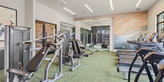 Bexley Westshore Gallery 16