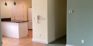 OWN883 Gallery 6