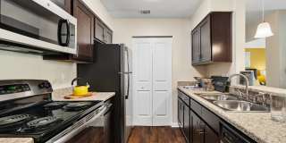Palmetto Place Gallery 20