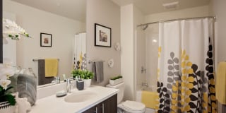 North Hollow Gallery 33