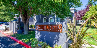 The Loft Apartments Gallery 21