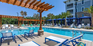 Lakeside Walk Gallery 2